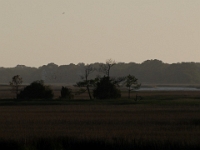 28782CrLe - Vacation at Kiawah Island, SC - Looking across to Seabrook Island  Peter Rhebergen - Each New Day a Miracle